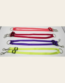 4 Paws Market 2 Dog Leash