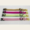 4 Paws Market Canvas Dog Collar -4 PAWS MARKET Shop 4 paws market canvas dog collar