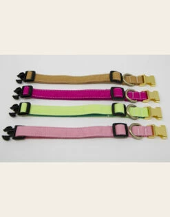 4 Paws Market Canvas Dog Collar