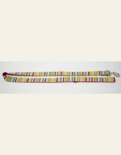4 Paws Market Rainbow Leash