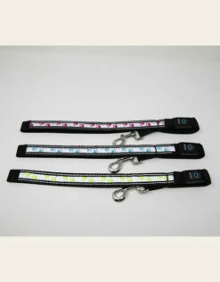 4 Paws Market USB Flashing Paws Leash