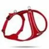 Curli Belka Comfort Harness -4 PAWS MARKET Shop curli belka comfort harness