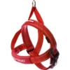 EzyDog Quick Fit Harness Red Small -4 PAWS MARKET Shop ezydog quick fit harness red small