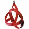 EzyDog Quick Fit Harness Red XLarge -4 PAWS MARKET Shop ezydog quick fit harness red xlarge