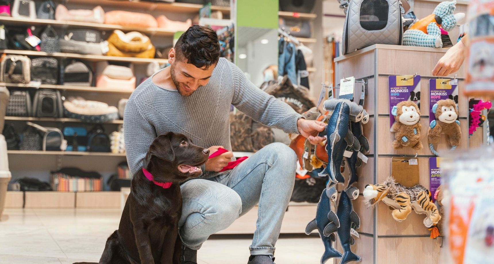 Front Page -4 PAWS MARKET Shop pet24