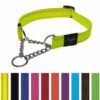 Rogz Utility Control Collar Medium -4 PAWS MARKET Shop rogz utility control collar medium