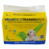 Unleashed Basic Value Housebreaking Pads 100PK -4 PAWS MARKET Shop unleashed basic value housebreaking pads 100pk