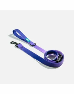 WOOF Concept Leash Aqua